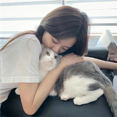 猛虎屠龙